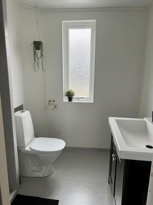 Apartment In The Center Of Torshavn, Free Parking. מראה חיצוני תמונה